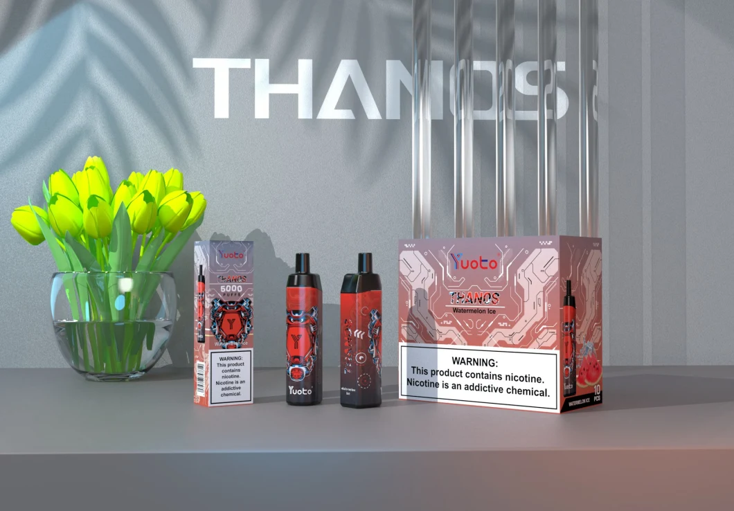 Wholesale Yuoto Thanos 5000 Puffs Mesh Coil Disposable Vape 14ml E Liquid 650mAh Battery 20 Hot Flavors Fast Shipping in Stock America UK Spain
